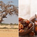 살림터치 이미지