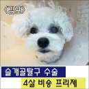 삼송사랑 동물의료센터 이미지