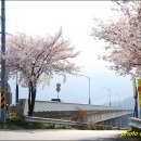 다사공원 이미지