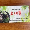 전주미산초등학교 | 전미동2가 맛집 베스트 10 추천