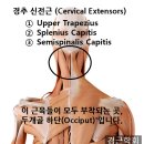 거북목·두통, 딱 1분 만에 끝내는 법" 이미지
