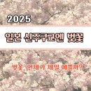 평화어린이집 | [도쿄생활]도쿄 벚꽃 명소, 신주쿠교엔 벚꽃 나들이후기