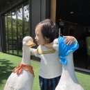 카페여우별