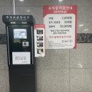꼬끼오고