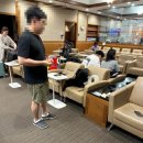 타나라운지 | [미국 여행] 뉴욕 JFK 공항 라운지 / 뉴욕 - 인천 아시아나 기내식 후기