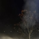 호호캠핑장 이미지