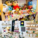 샵()타임(TIME)_광안리 | 광안리 놀거리 감성 소품샵 3곳 추천 분위기 및 특징 직접 방문한 후기