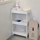 현 동물병원 | 목동동물병원) 고양이 생일선물로 건강검진 시켜주고 온 클로버동물병원