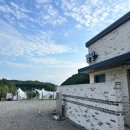 아름다운 애견 이미지