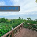 어달OTP펜션 이미지