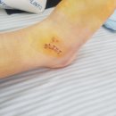 거제돔관광호텔 이미지