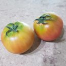 토마토약국 이미지