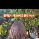 앤써헤어 이미지