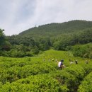 박성준 농장 이미지