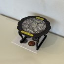 파라스테이 이미지