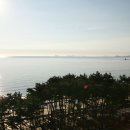 품안에 바다 이미지