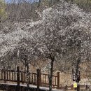 인천대공원(다목적광장) 이미지