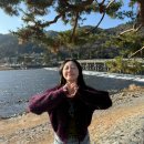 영신숲 외 가로수길 | [일본_교토] 아라시야마 | 가는법 텐류지 대나무숲 도게츠교 동선 맛집 코스 소요시간