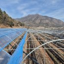 요지부동산공인중개사사무소 이미지