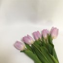 모모미용실 - 영천시 완산로 75 | 모모미용실