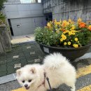 밀알유치원(오렌지어학원) | 🇬🇧영국워홀 | 시작되었다