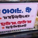 커피마마 일죽점 이미지