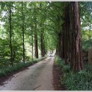 심천자연휴양림콘도 이미지