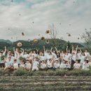 농업회사법인 정원 이미지