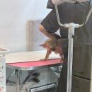 멍클래스 이미지