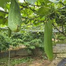 반월농장 이미지