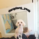 송내동3 이미지