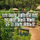 대야농장 | 인천 아이랑 가볼만한곳 추천, 반디세상 오픈런 후기｜물놀이 흙놀이 다 가능한 체험농장