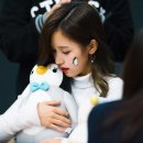 뿌