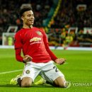 그린우드 이미지