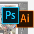 금손되는 일러스트레이터 이미지