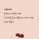 텍스컨설팅