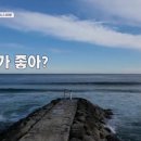 주문진밤도깨비 이미지