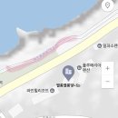 팰롱팰롱 이미지