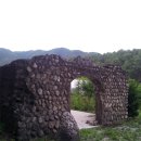 팔랑리 박제전시관 이미지