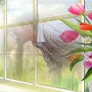 만남라이브카페 이미지