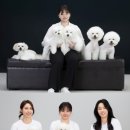 더독그루머스 이미지