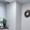 💼강남 모발이식 제대로 하고 싶다면? ✨에이치헤어의원에서 경험한 인생 시술 후기🧑‍⚕️