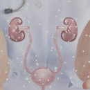 왕내과의원 이미지