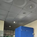 언남 | [현장후기] 언남고등학교 축제, '하이앵글' &amp; '스토리베이직'으로 완성한 완벽한 포토존! 📸✨