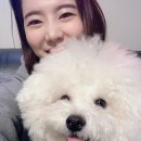 써니펫 이미지