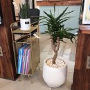 카라미용실 이미지