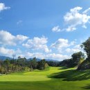 영동 일라이트CC 이미지