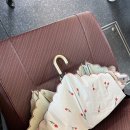 8月(2) 주 4일제 도입 반대요? 사측이세요?