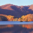 돈유1로 이미지