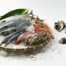 동충4길 이미지